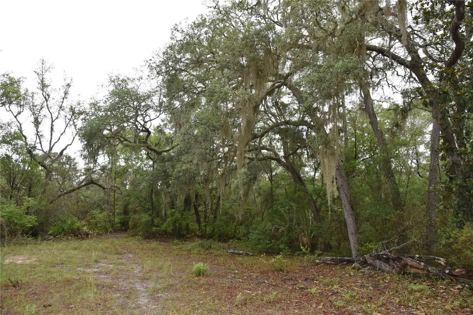 8650 136th Avenue, FL