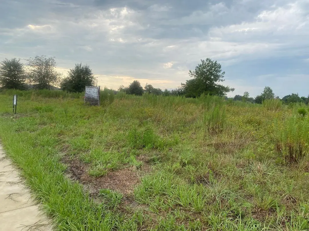 241 Chestnut Road, FL