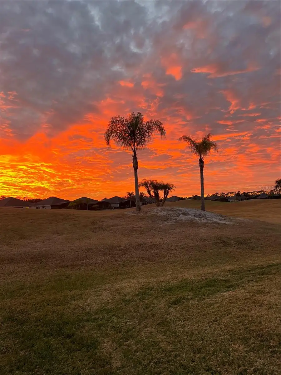 2909 Asciano Court, FL