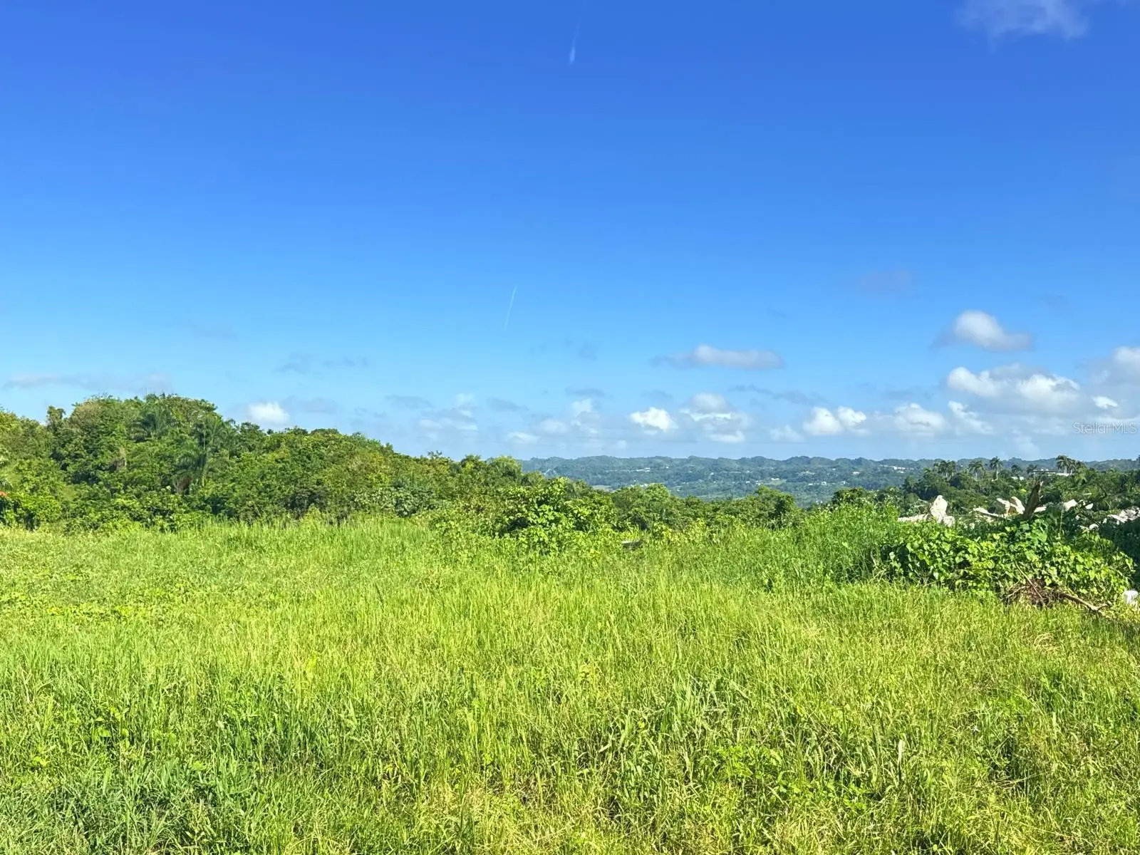 Carr 119 Km 27.9 Int Bo Hoyamala, PR