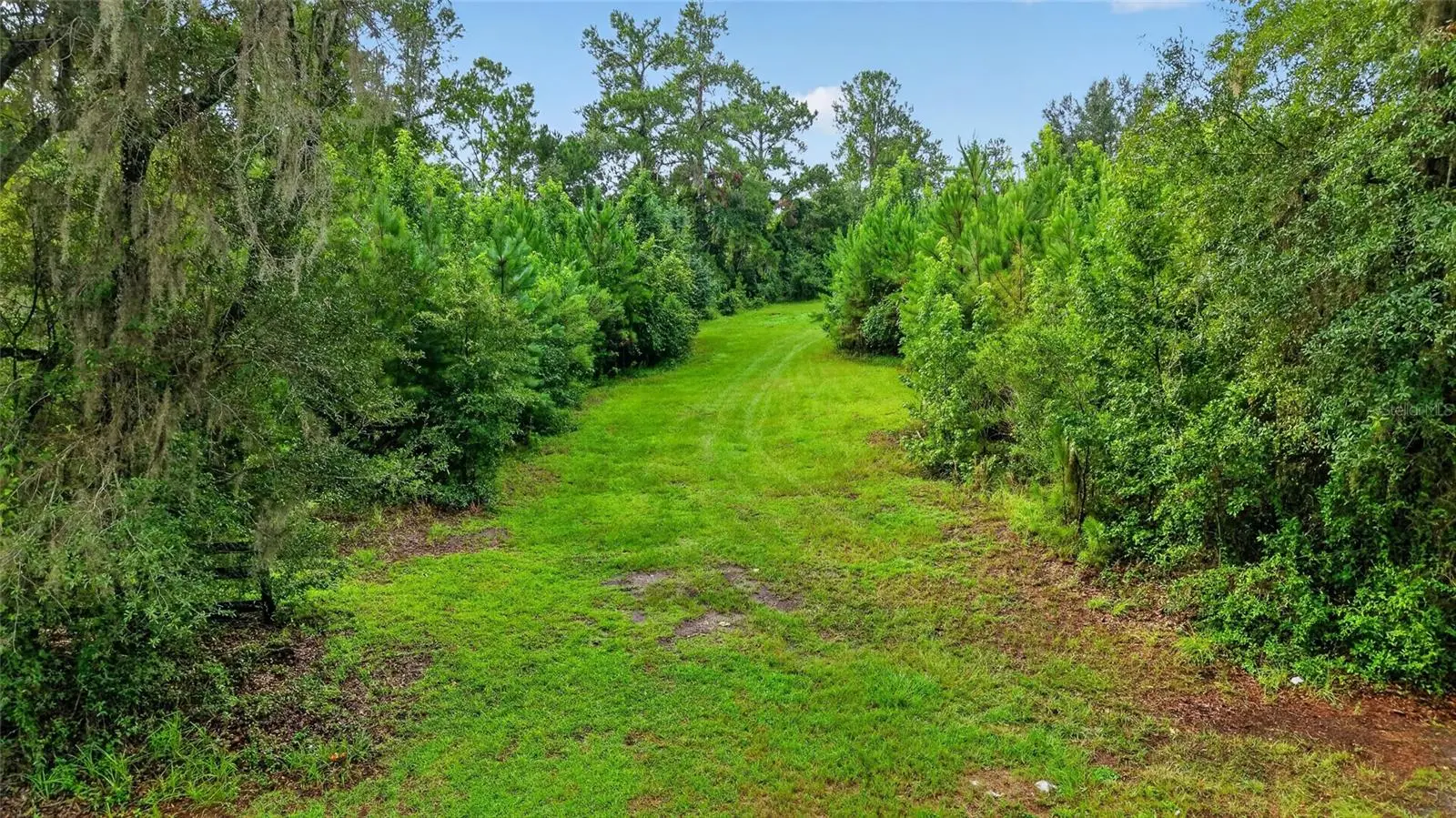 15958 Hwy 318, FL
