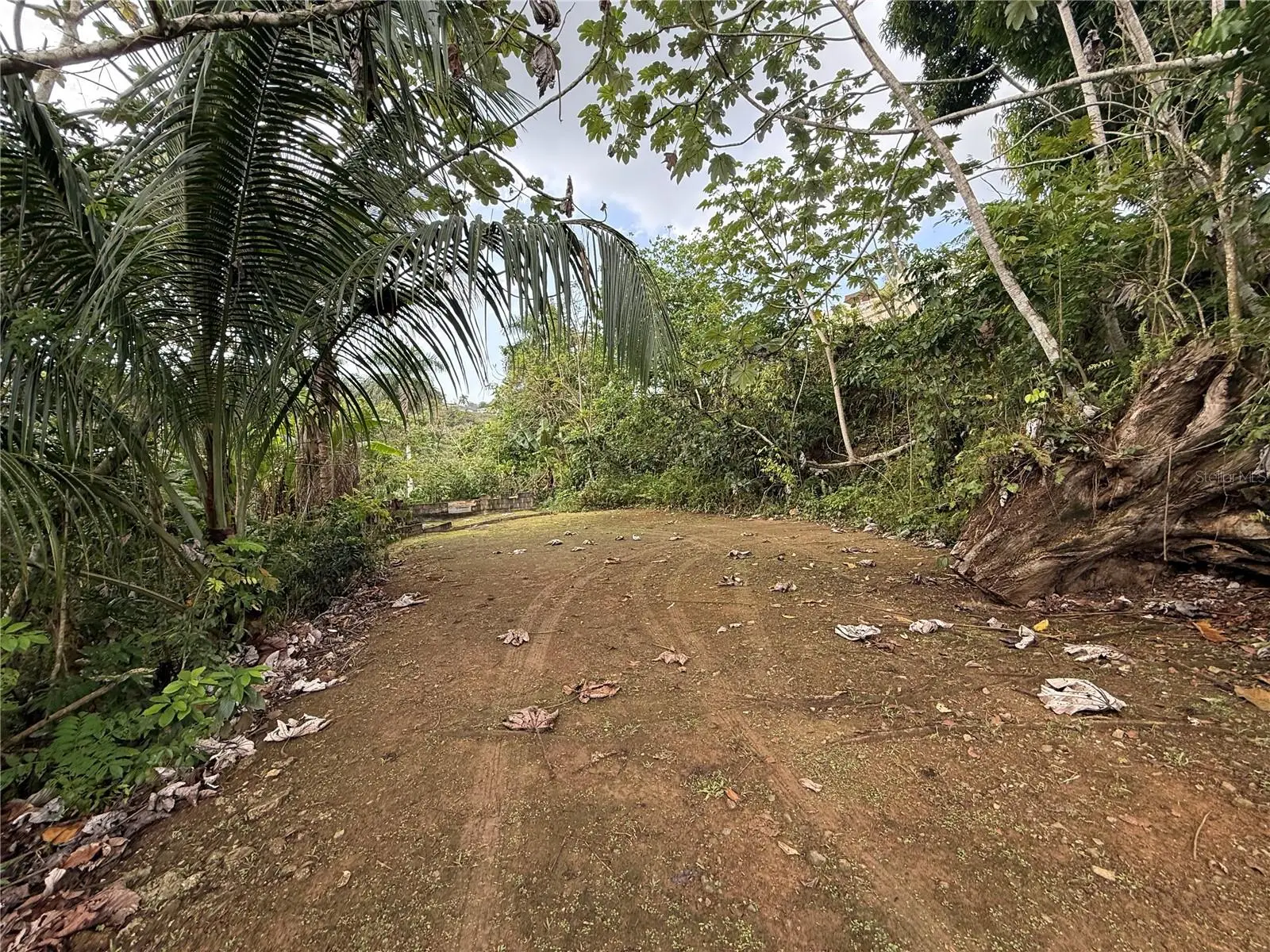 835 Km 5.4 Int,. Lot 8 Mamey Wd, PR
