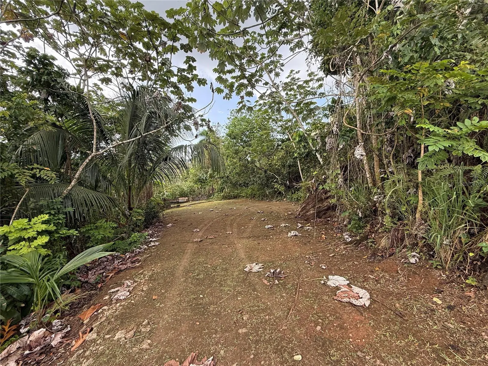 835 Km 5.4 Int,. Lot 8 Mamey Wd, PR