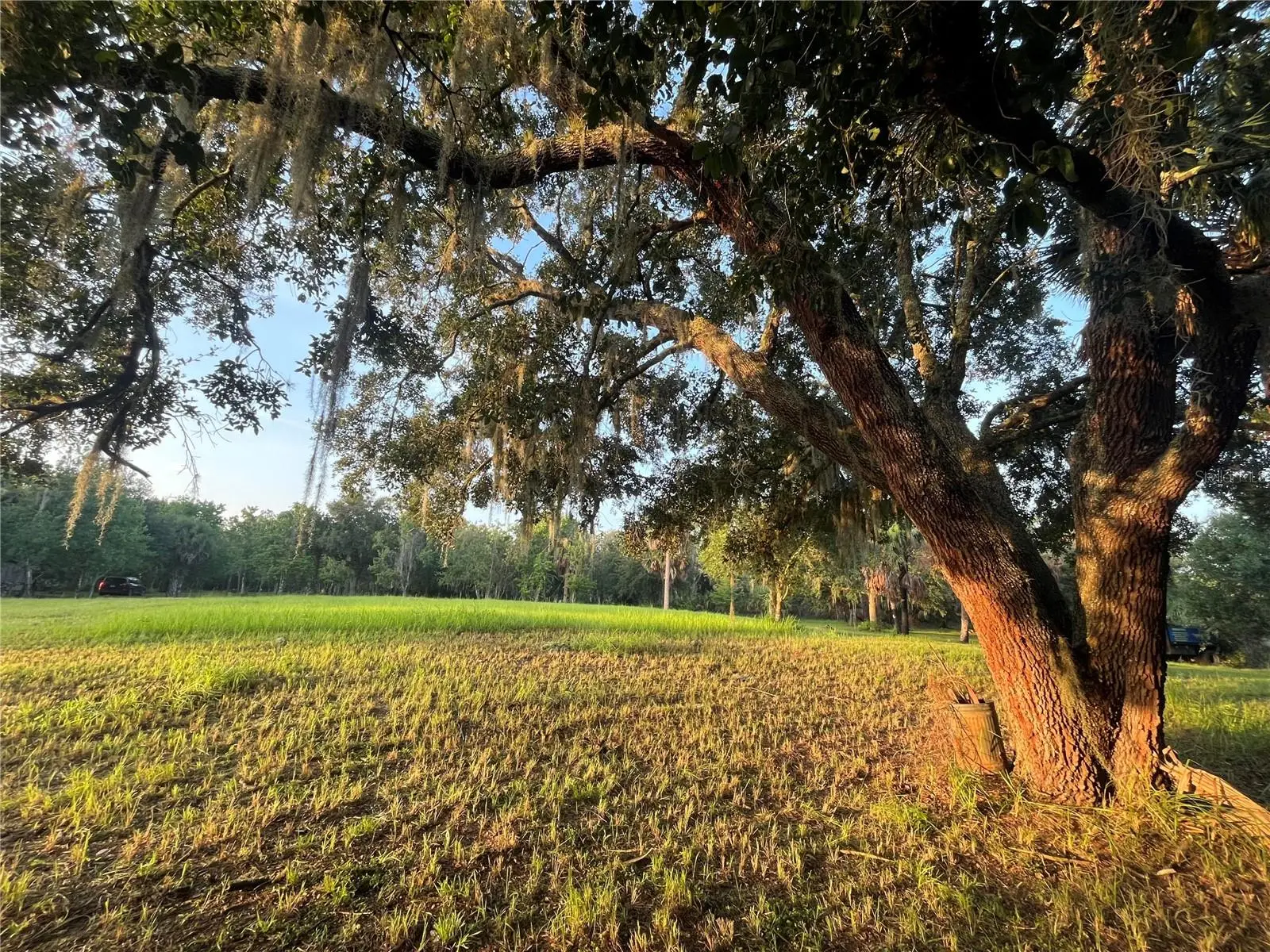 32801 441 Highway, FL
