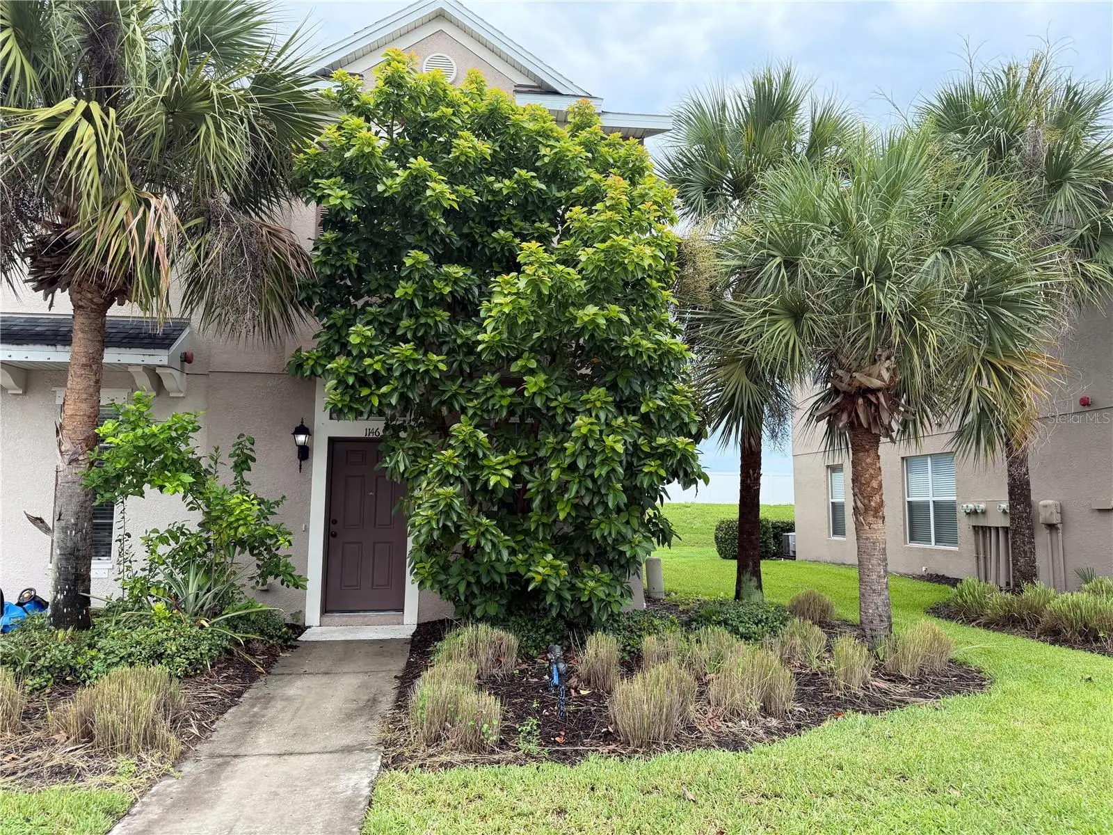 1146 Grantham Drive, FL