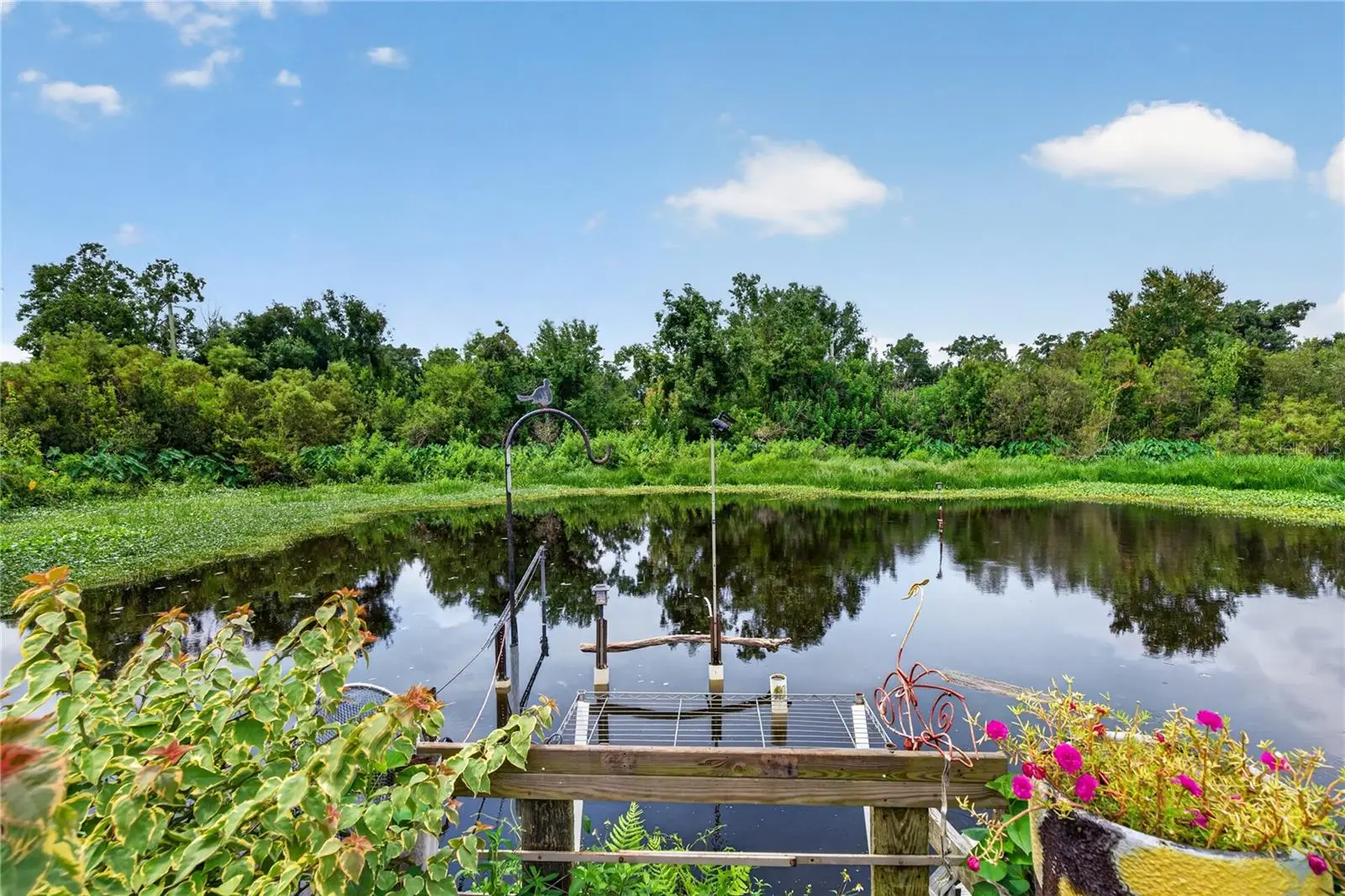 2558 Mcintosh Drive, FL