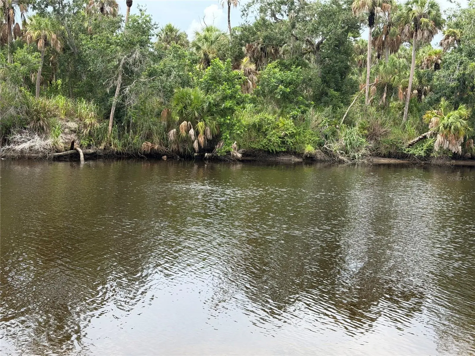 14941 Barrows Bluff Terrace, FL