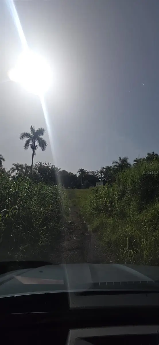 455 Carr Km 11.5, Int Bo Km 11.5, PR