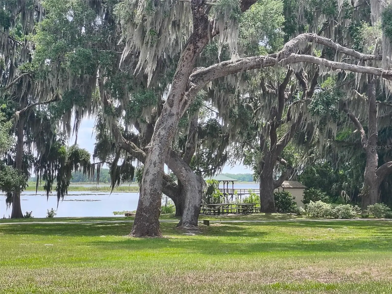 3716 Cove Park Trail, FL