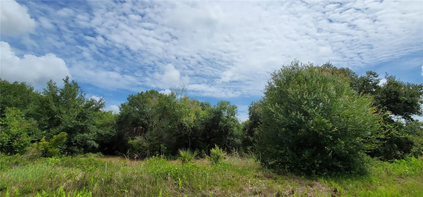 Nw 268th Street Lot N, FL
