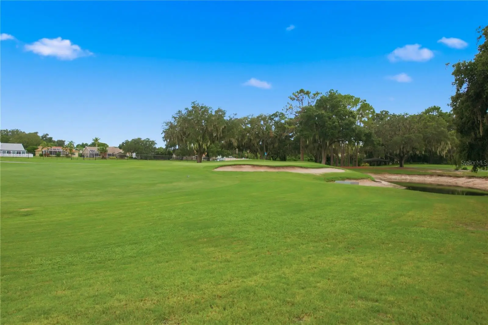 9419 Green Needle Drive, FL