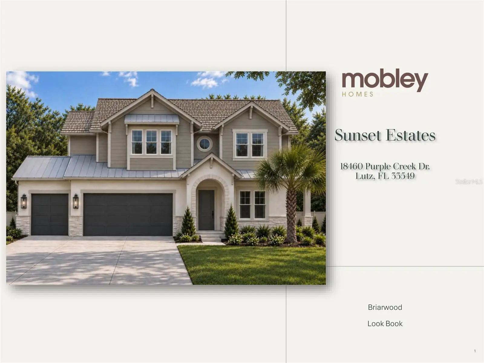 18460 Purple Creek Lane, FL