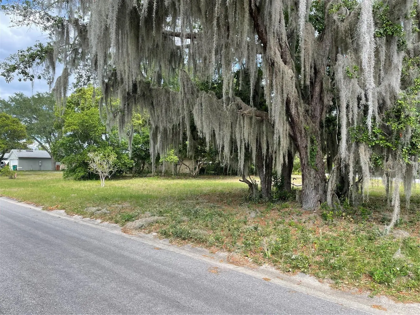 Clara Avenue, FL