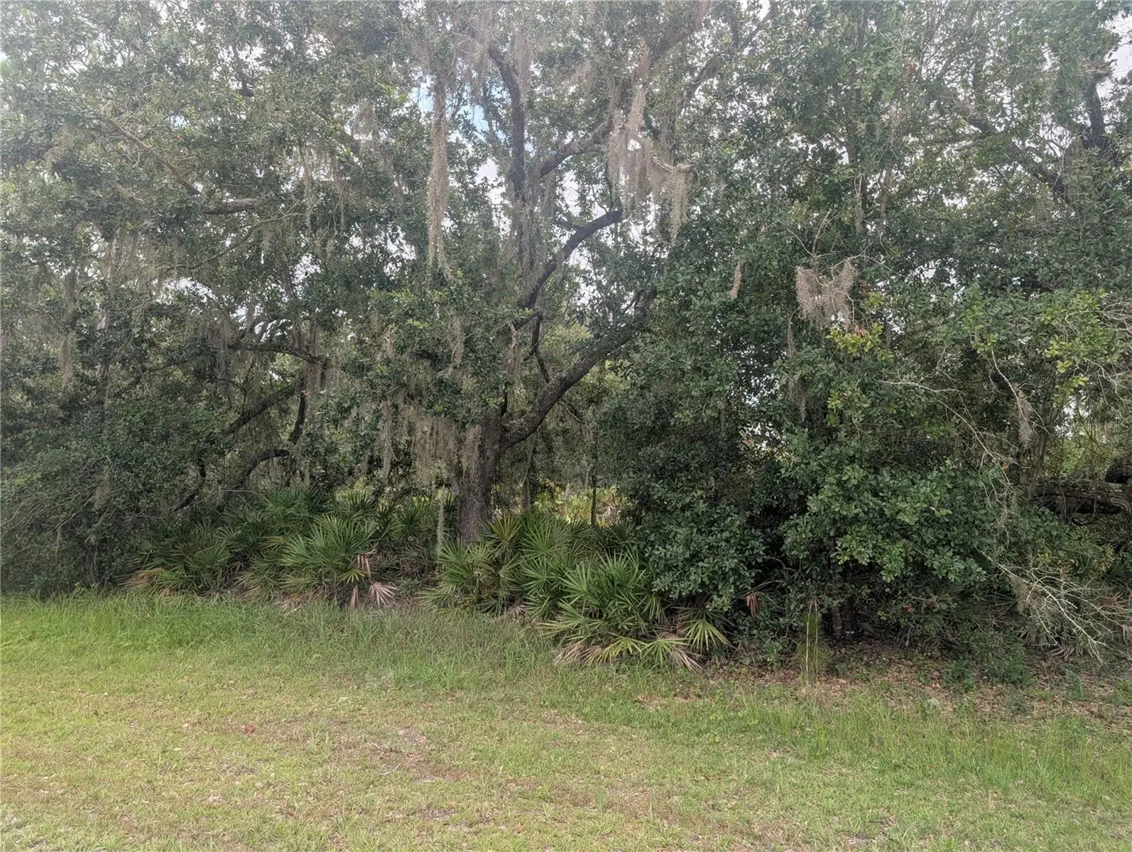 Gaillardia Drive, FL