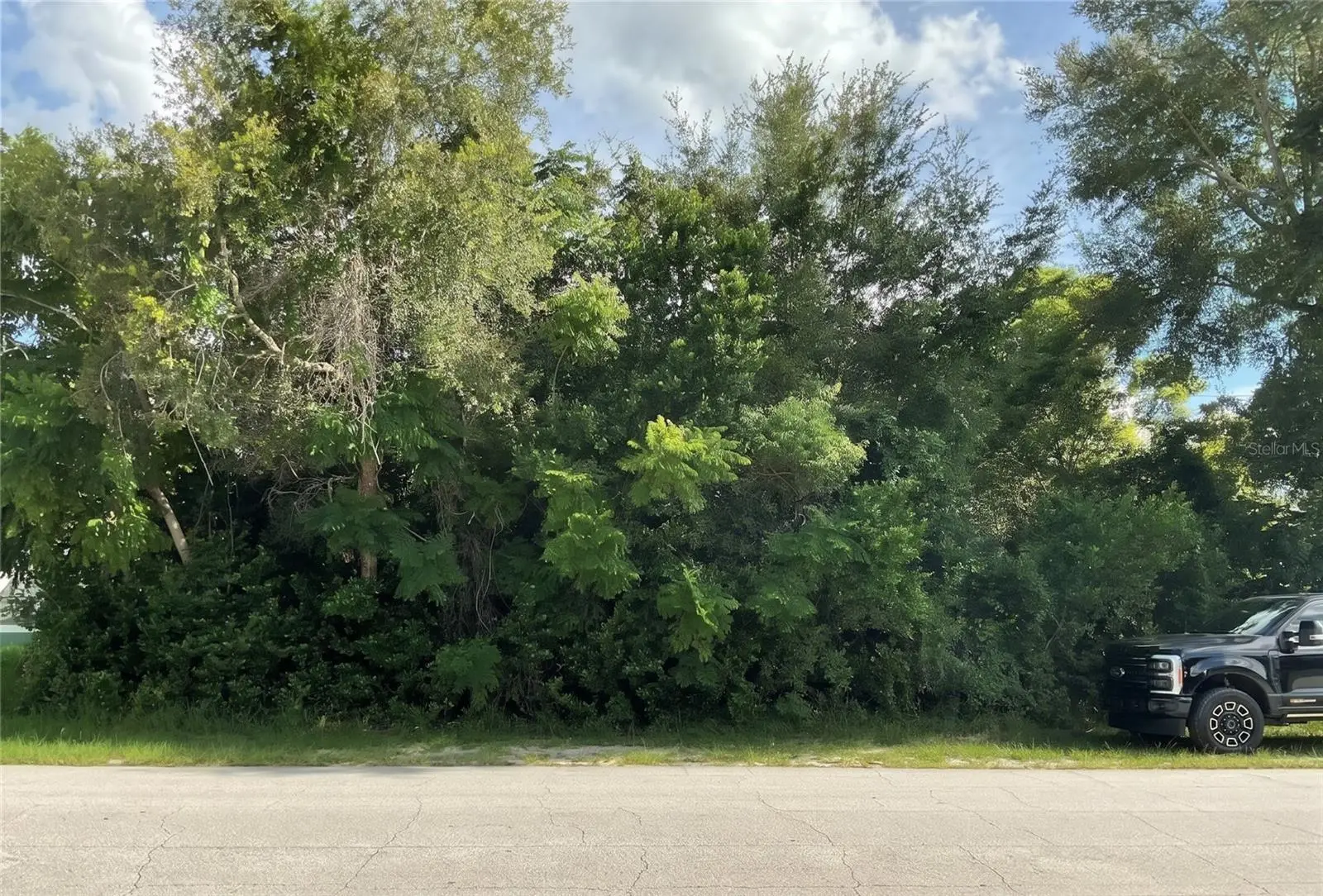 883 Trumbull Street, FL