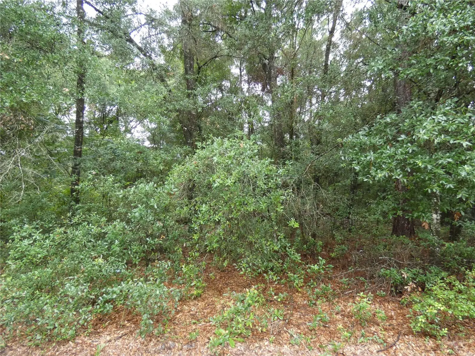 Tbd 151 St Pl, FL