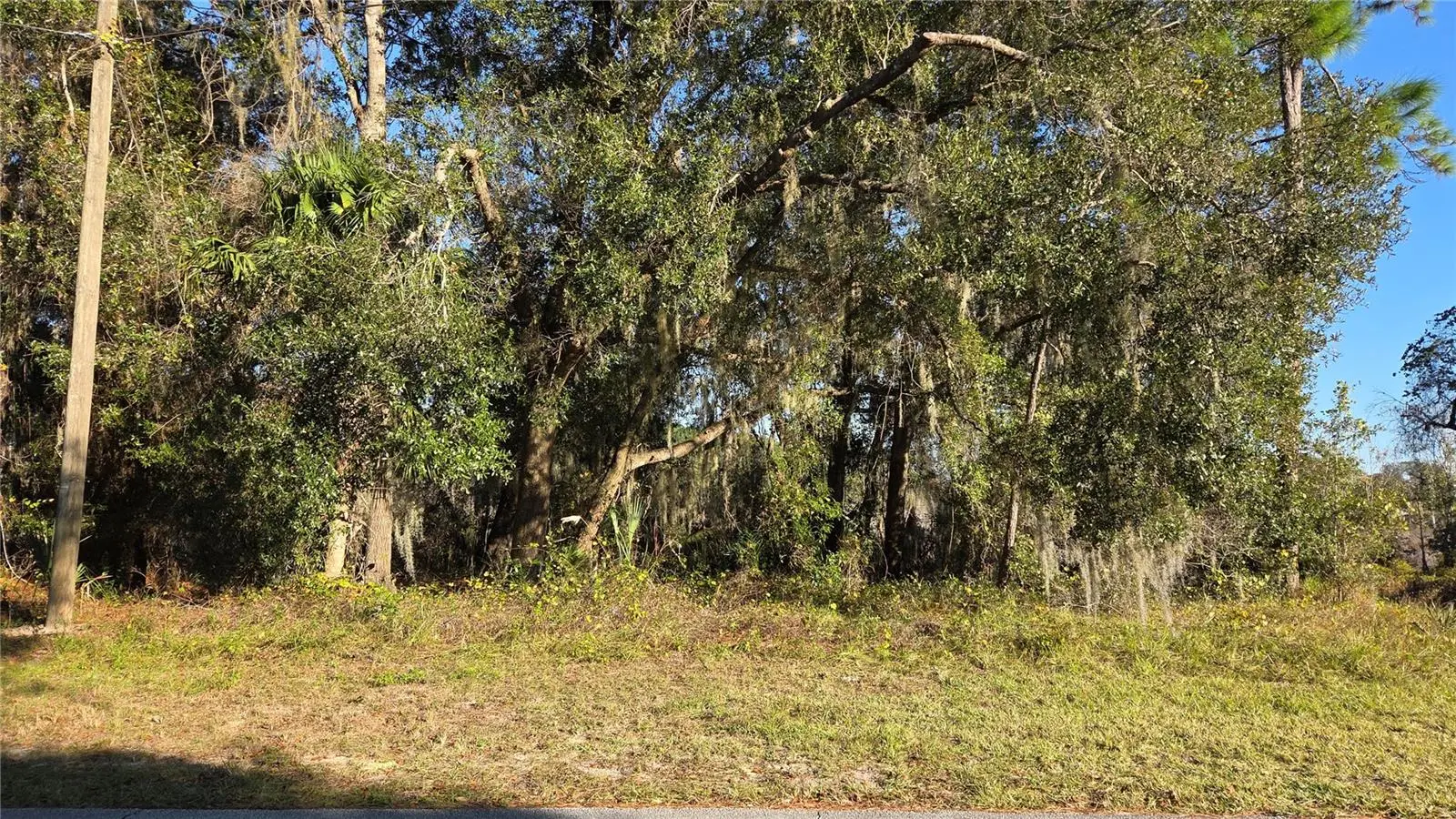 3009 Parma Drive, FL