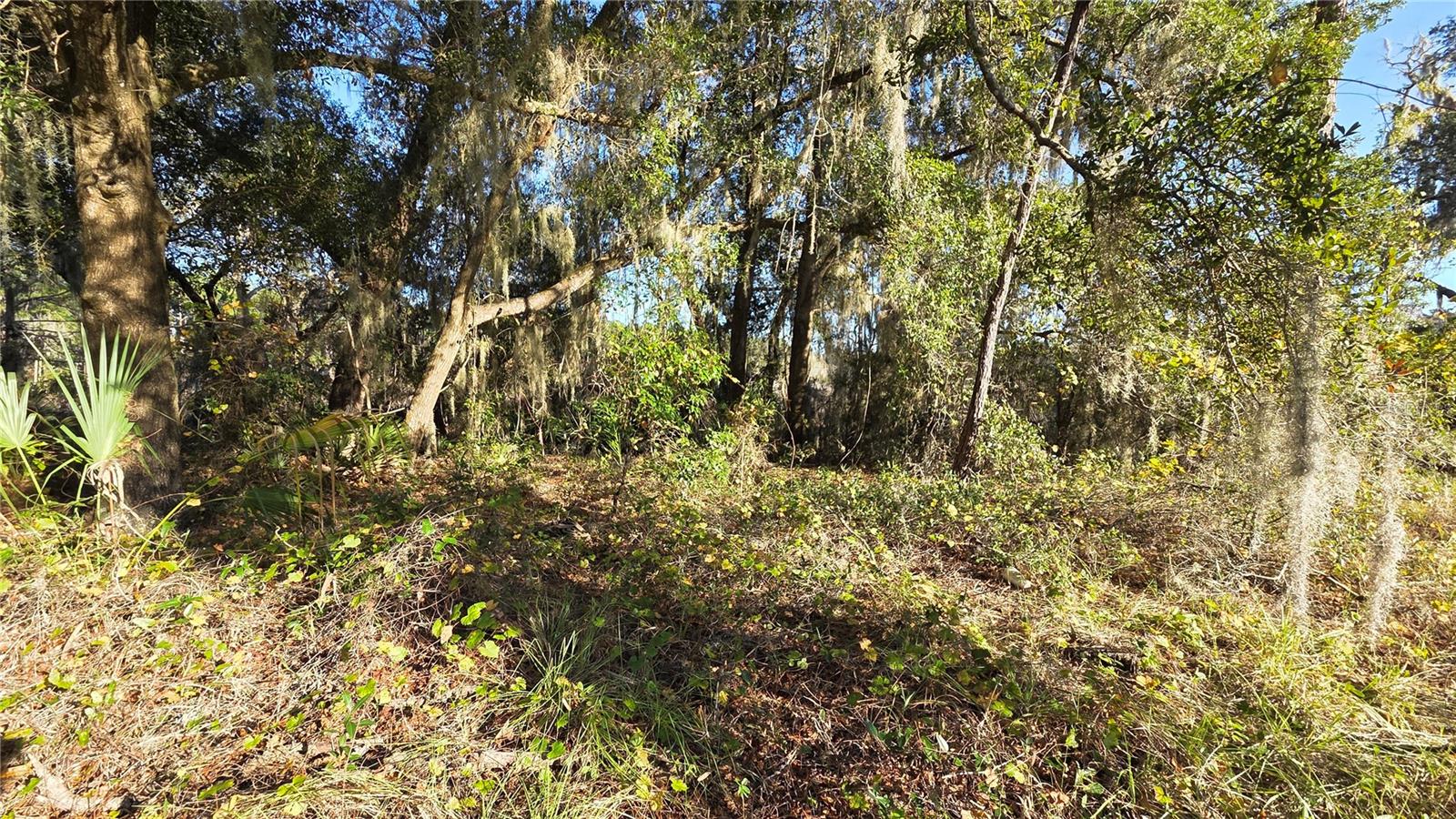 3009 Parma Drive, FL