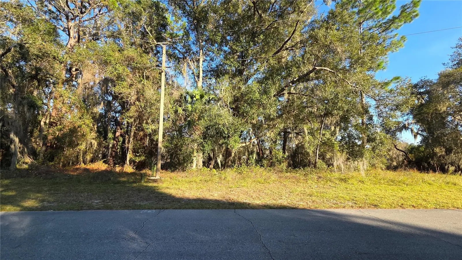3009 Parma Drive, FL