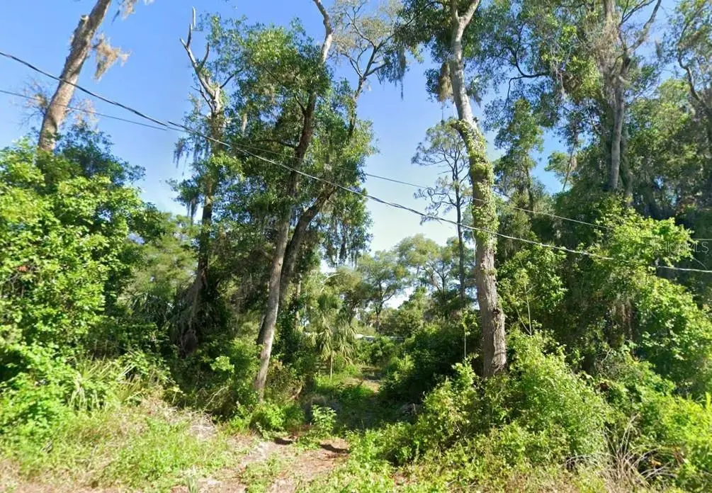 4523 Harvard Drive, FL