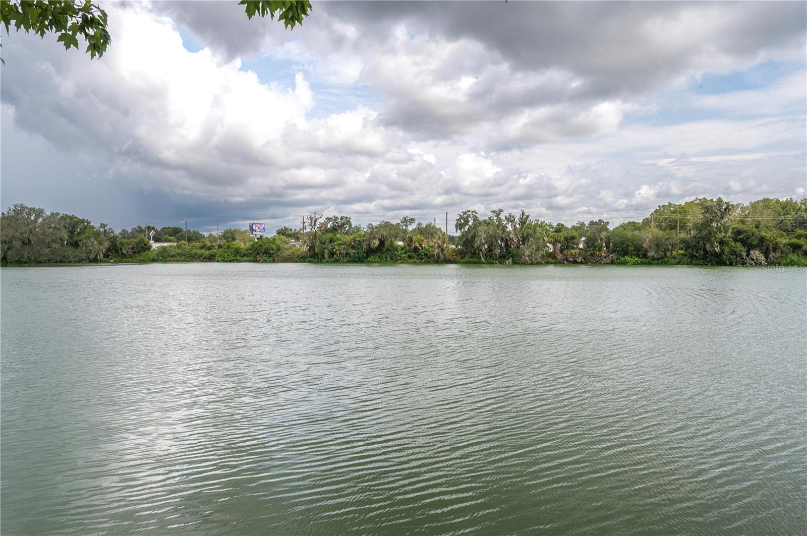 5667 Water Oak Lane, FL