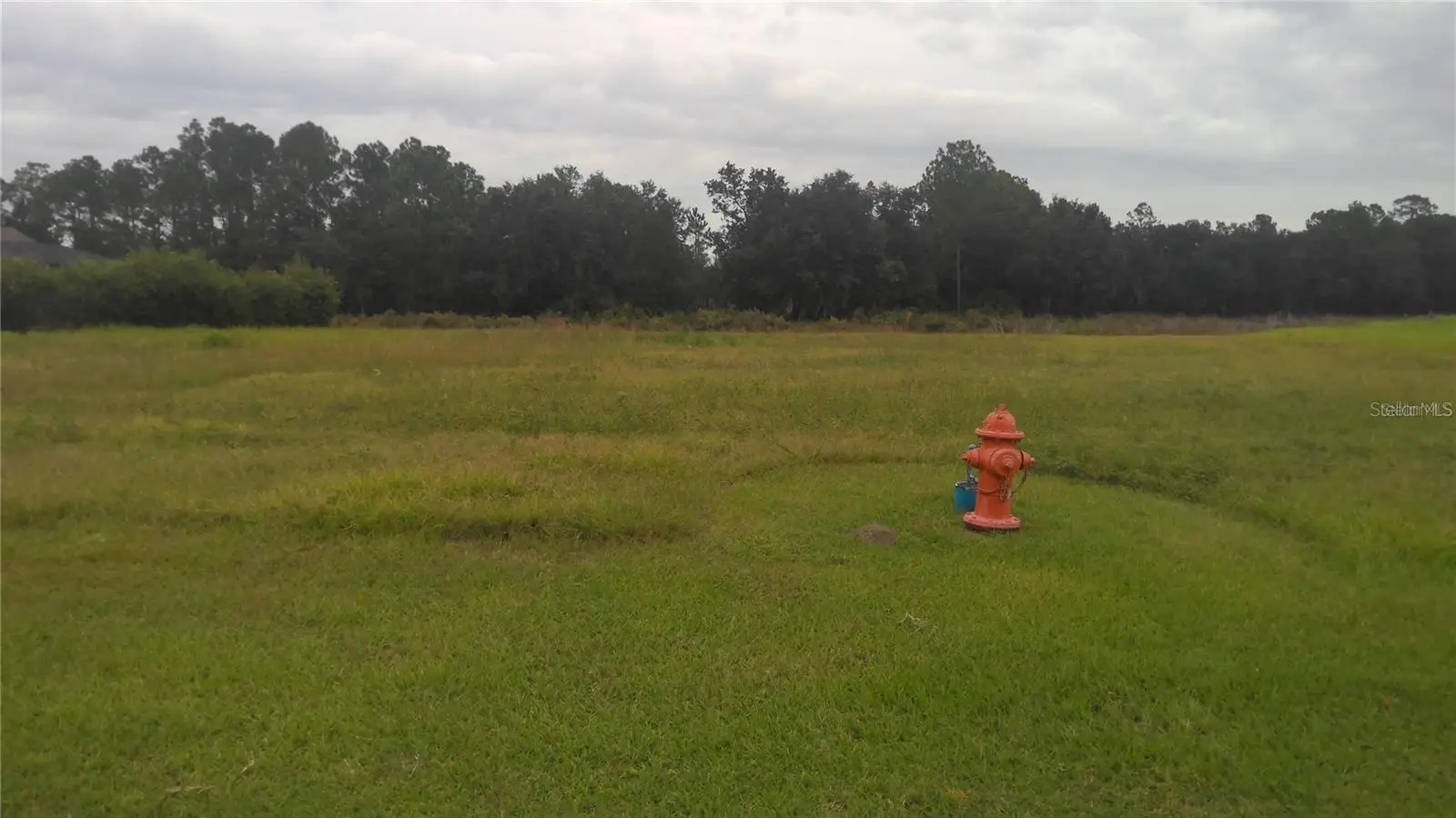 Cypress Trace Boulevard, FL