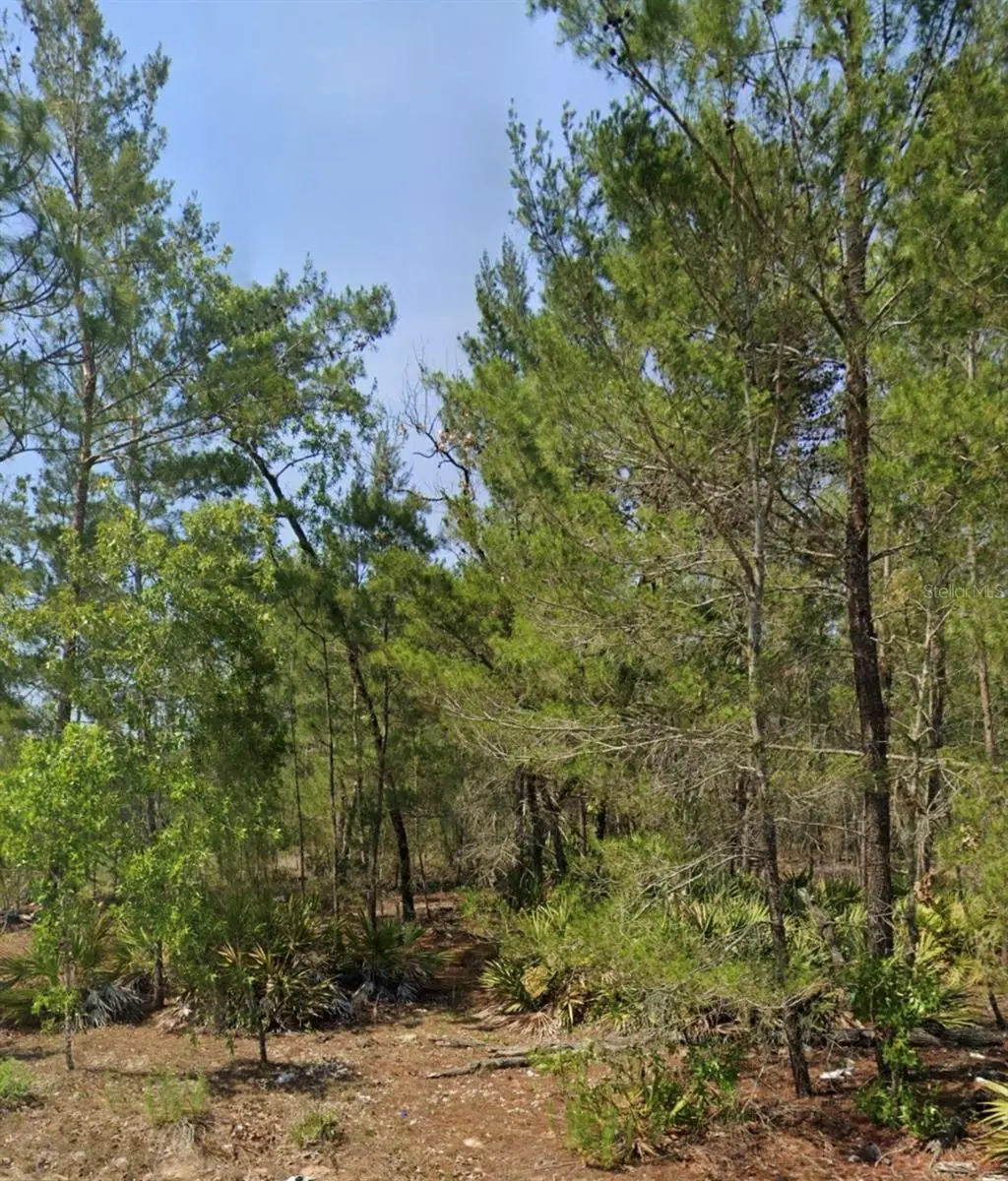 Malauka Track, FL