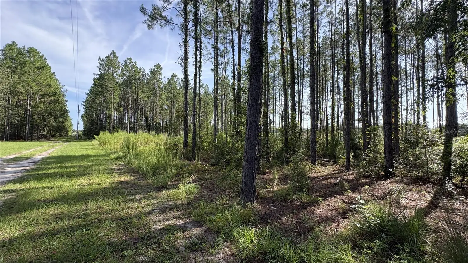 Tbd 130th Avenue, FL