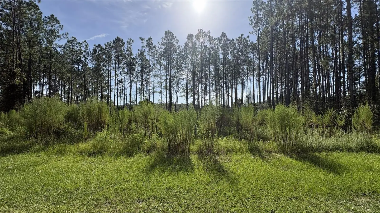 Tbd 130th Avenue, FL