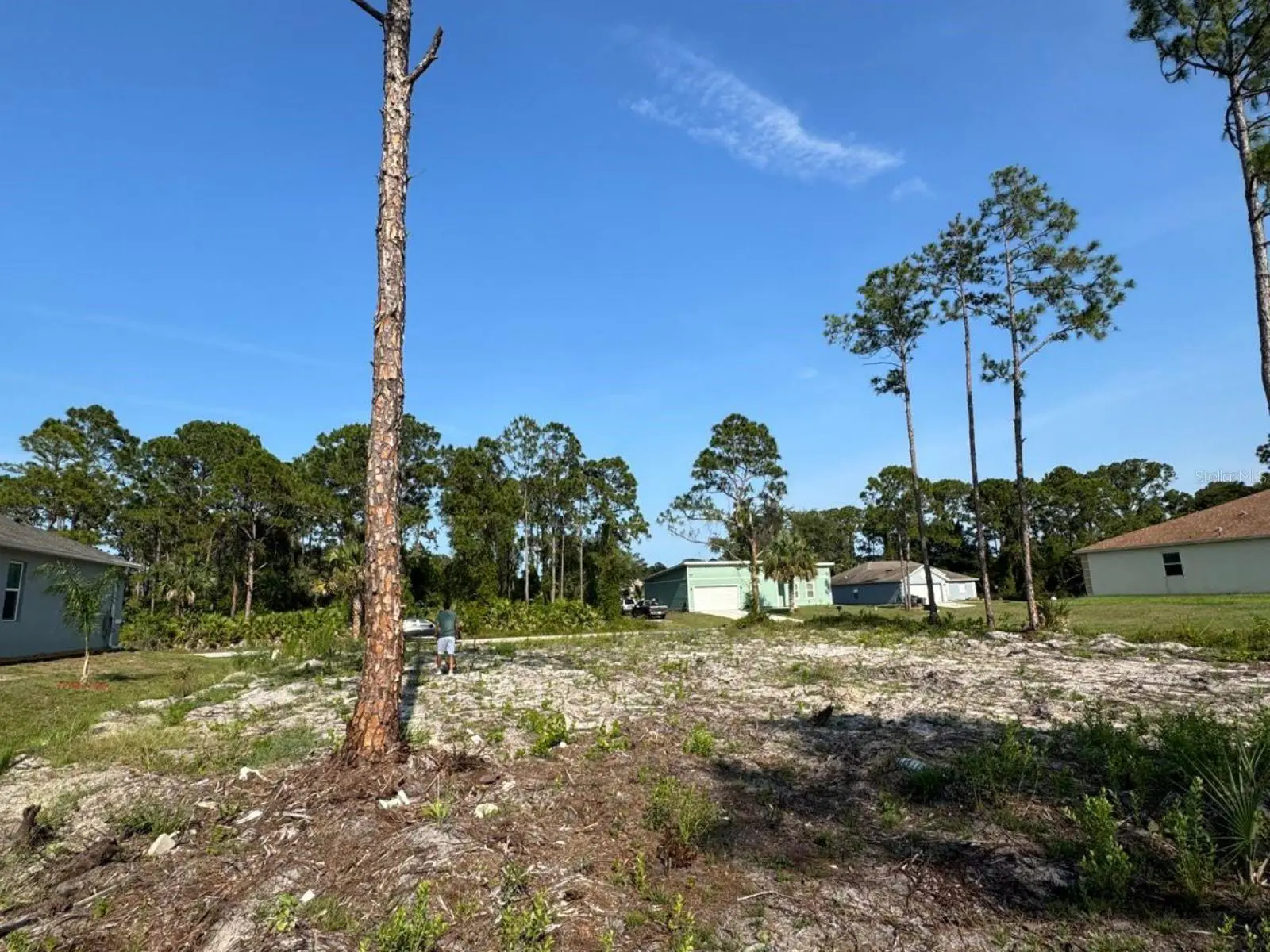 762 Harriet, FL