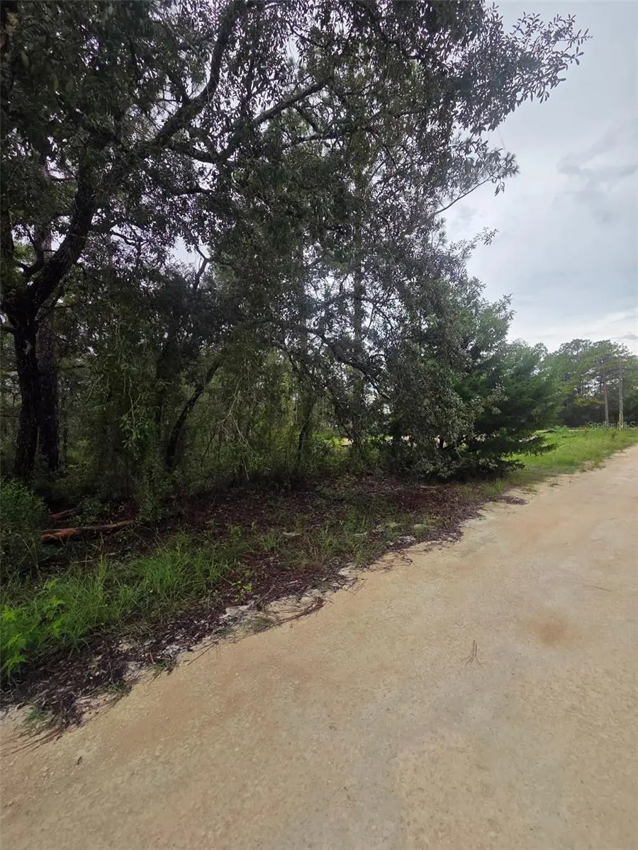 15326 Mottled Owl Road, FL