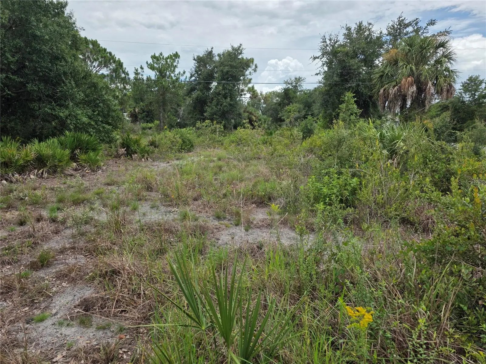 2354 Marcella Terrace, FL