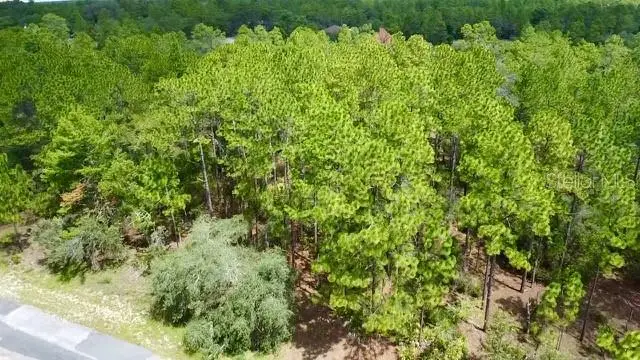 3861 Firewood Loop, FL