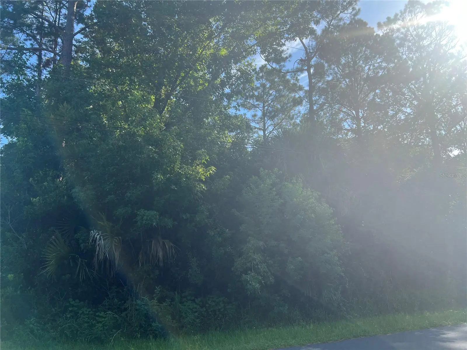 41 Rivera Lane, FL