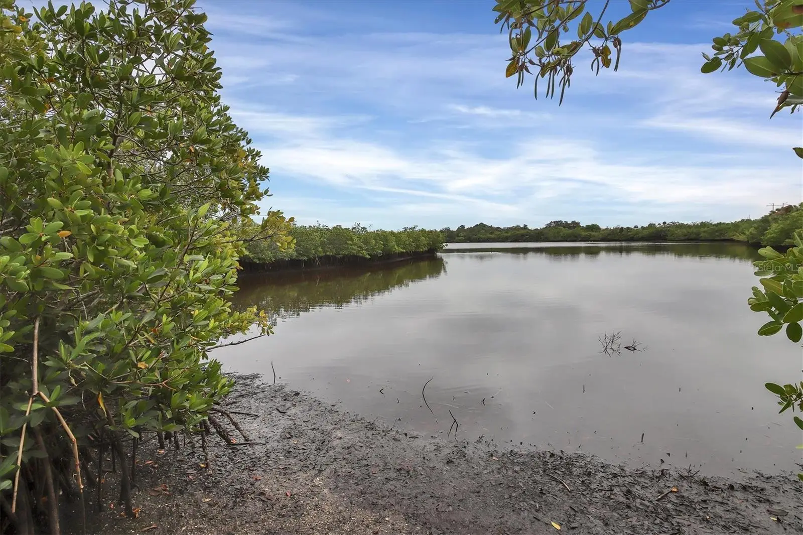 5609 Tidewater Preserve Boulevard, FL