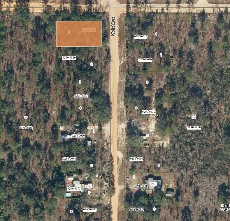 231 Violet Ave, FL