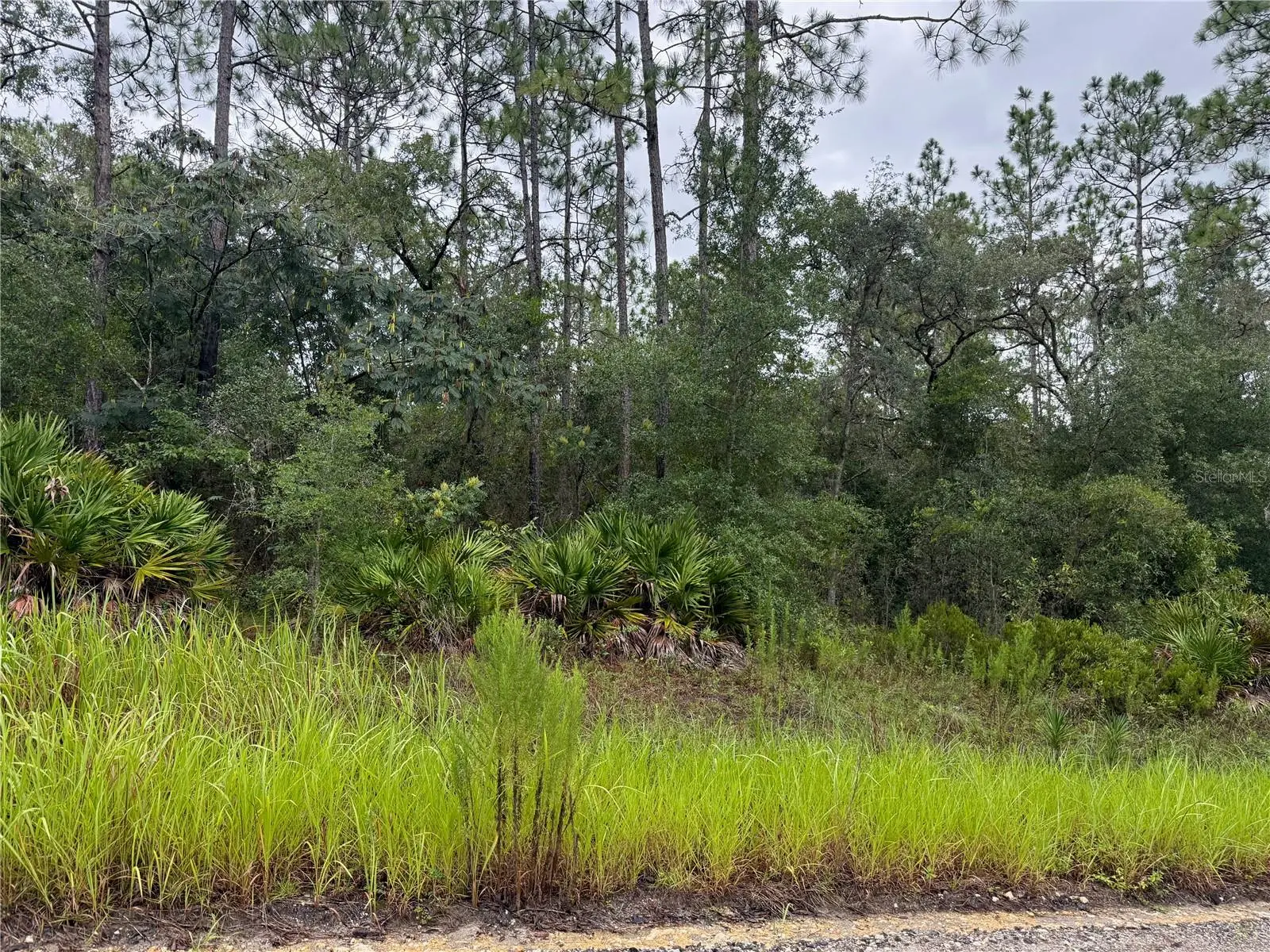 175 Court, FL