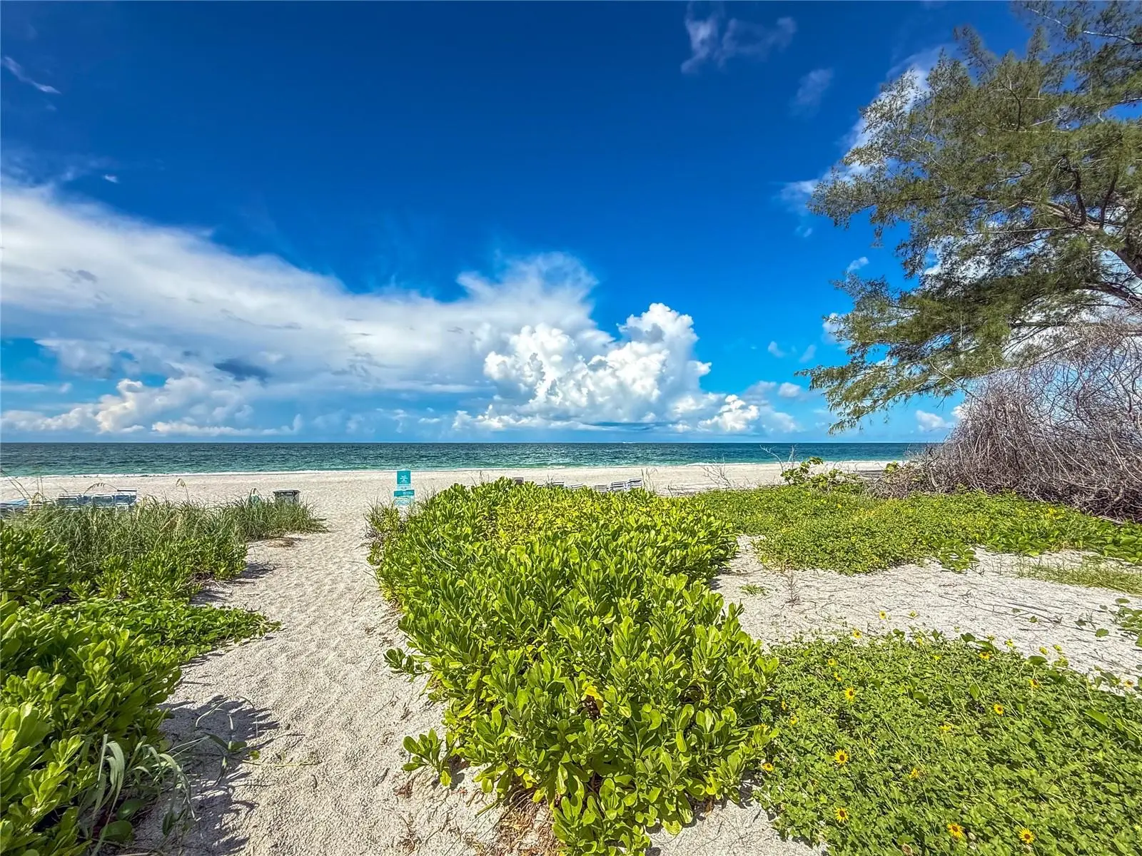 5310 Gulf Of Mexico Drive, FL