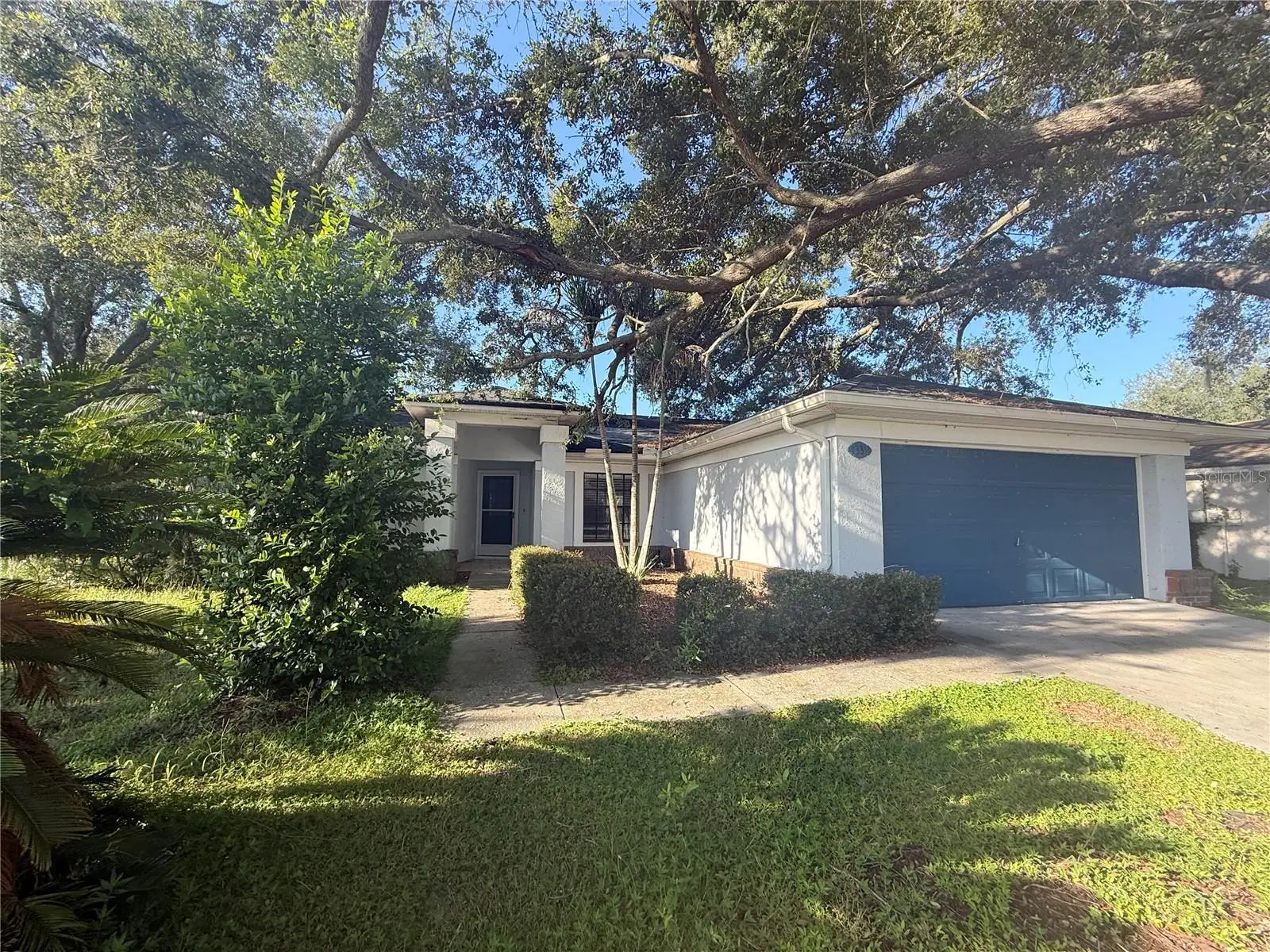 13311 Hollowbend Lane, FL