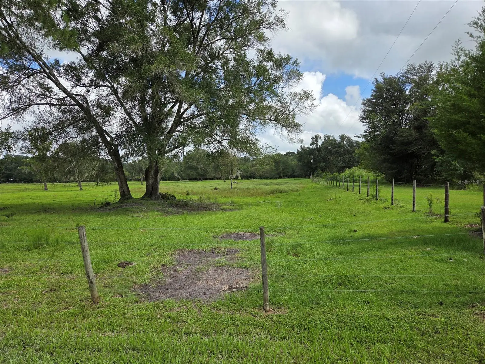 Cr 614a, FL