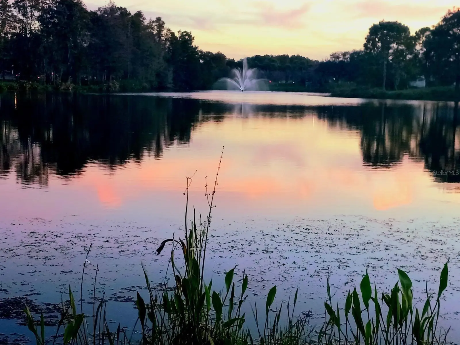 13560 Turtle Marsh Loop, FL