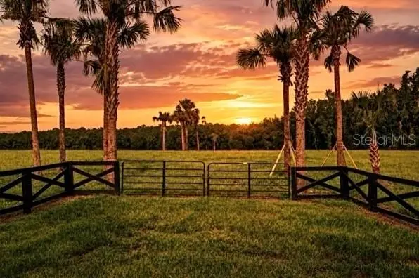Tbd Hwy 329, FL