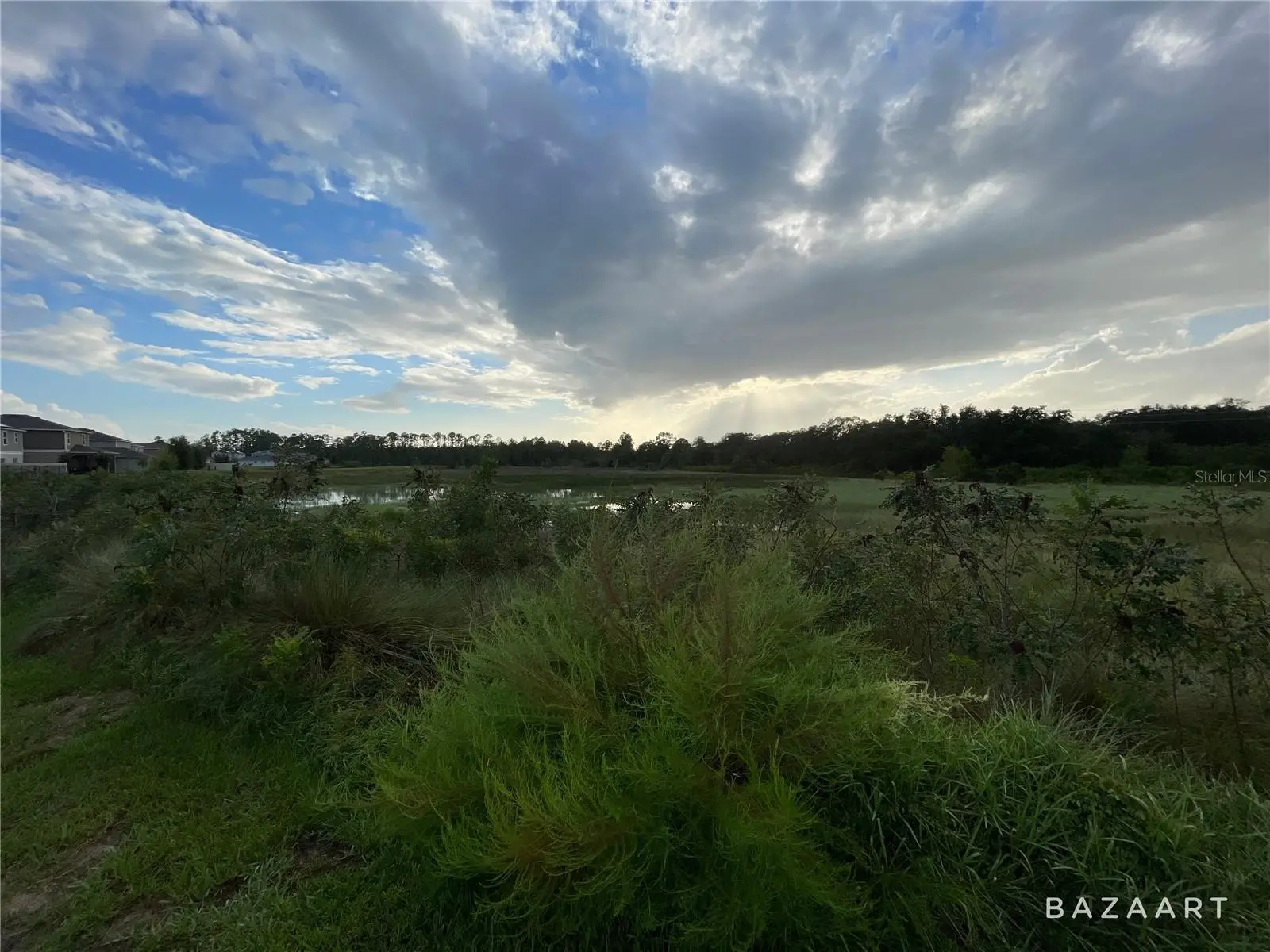 1441 Sawgrass Hammock Lane, FL