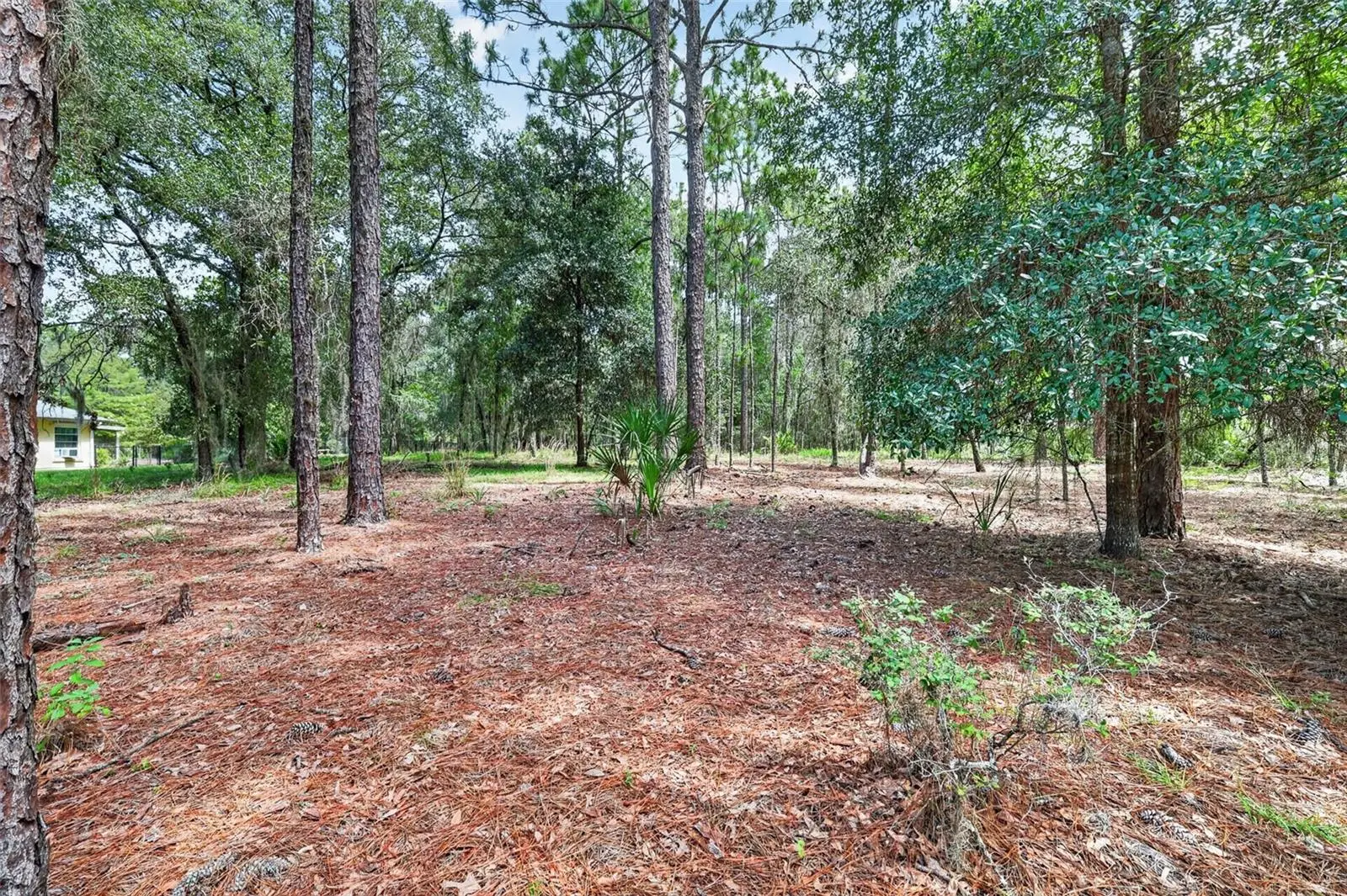0 82 Street, FL