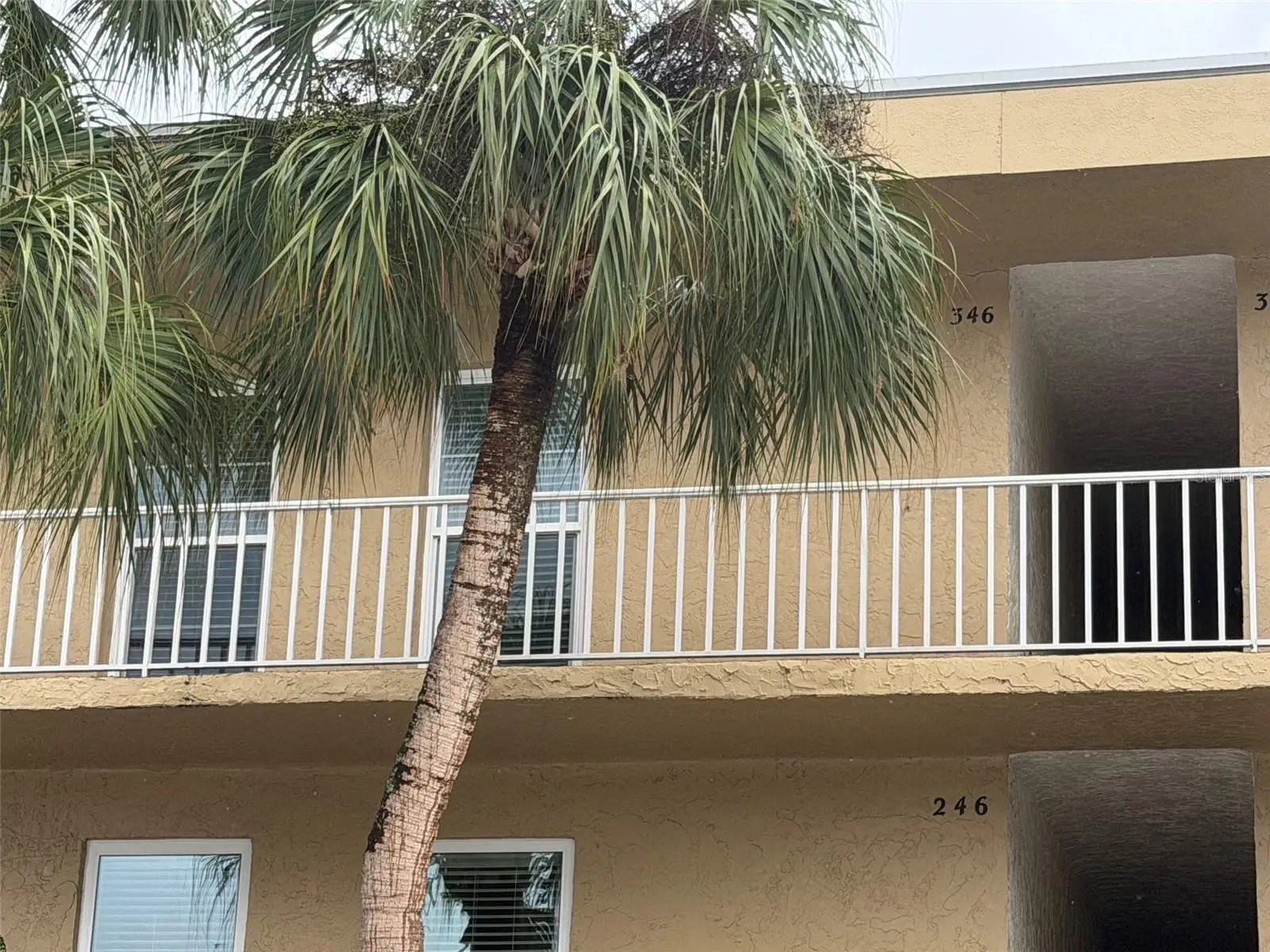 225 Country Club Drive, FL