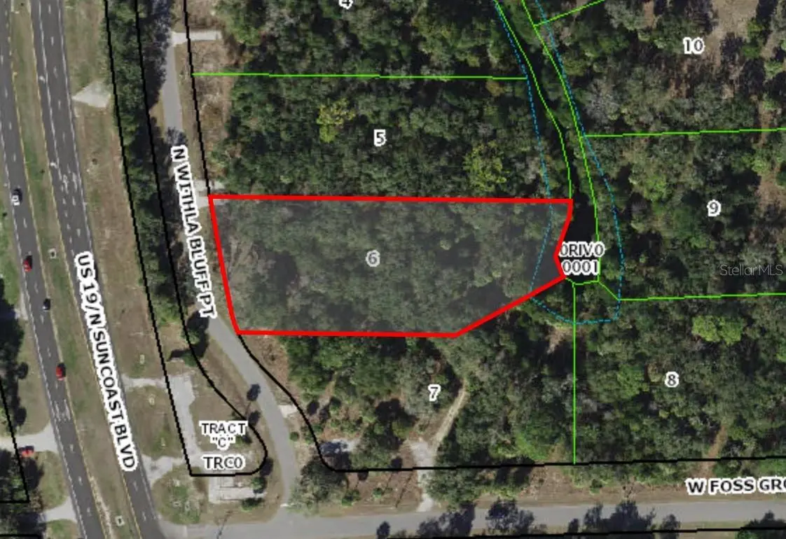 11043 Withla Bluff Point, FL