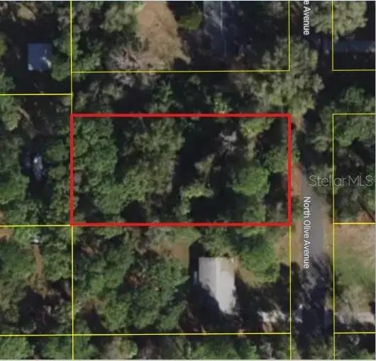 3408 Olive Avenue, FL