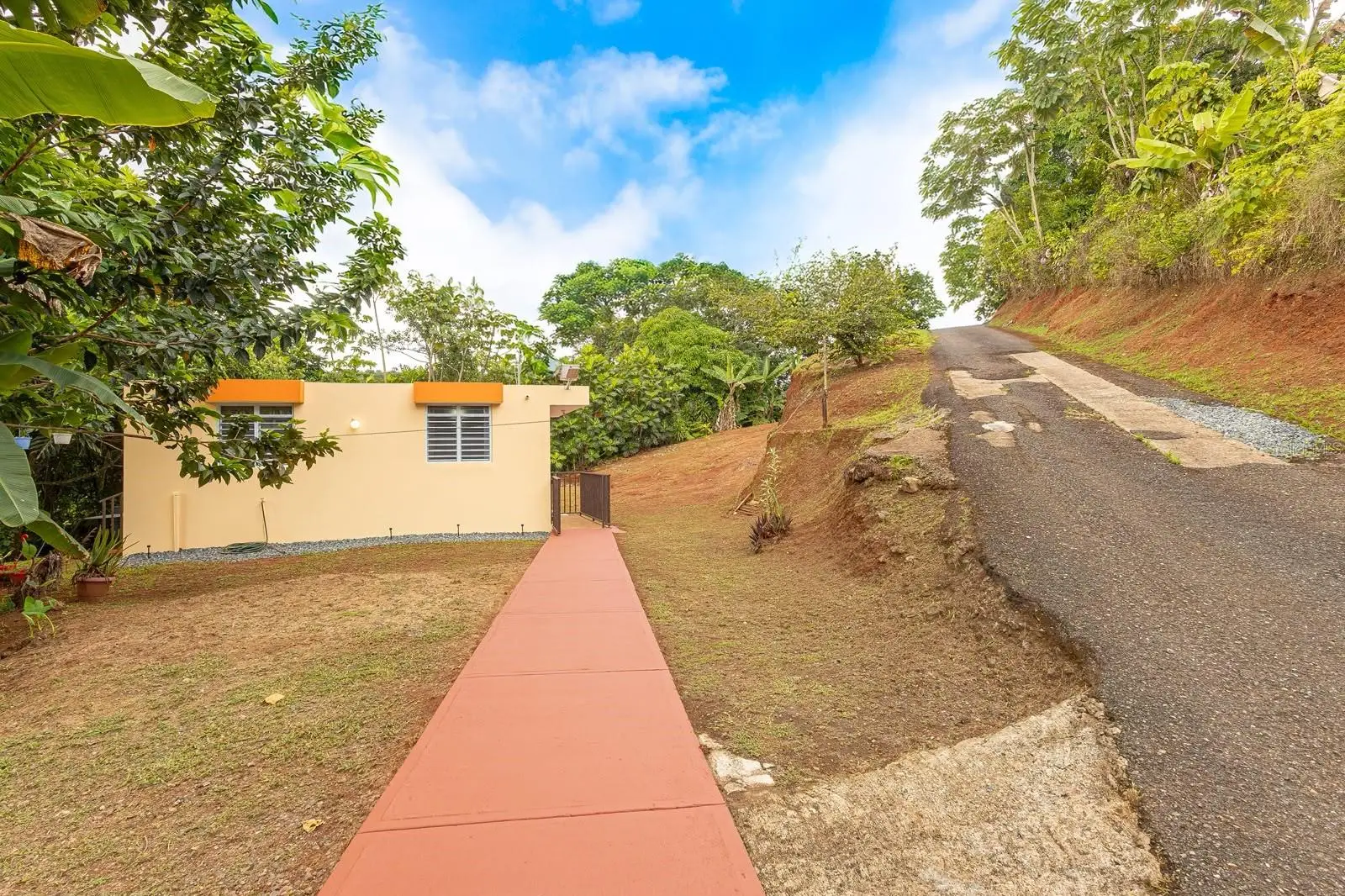 339 St Bo Montoso, PR