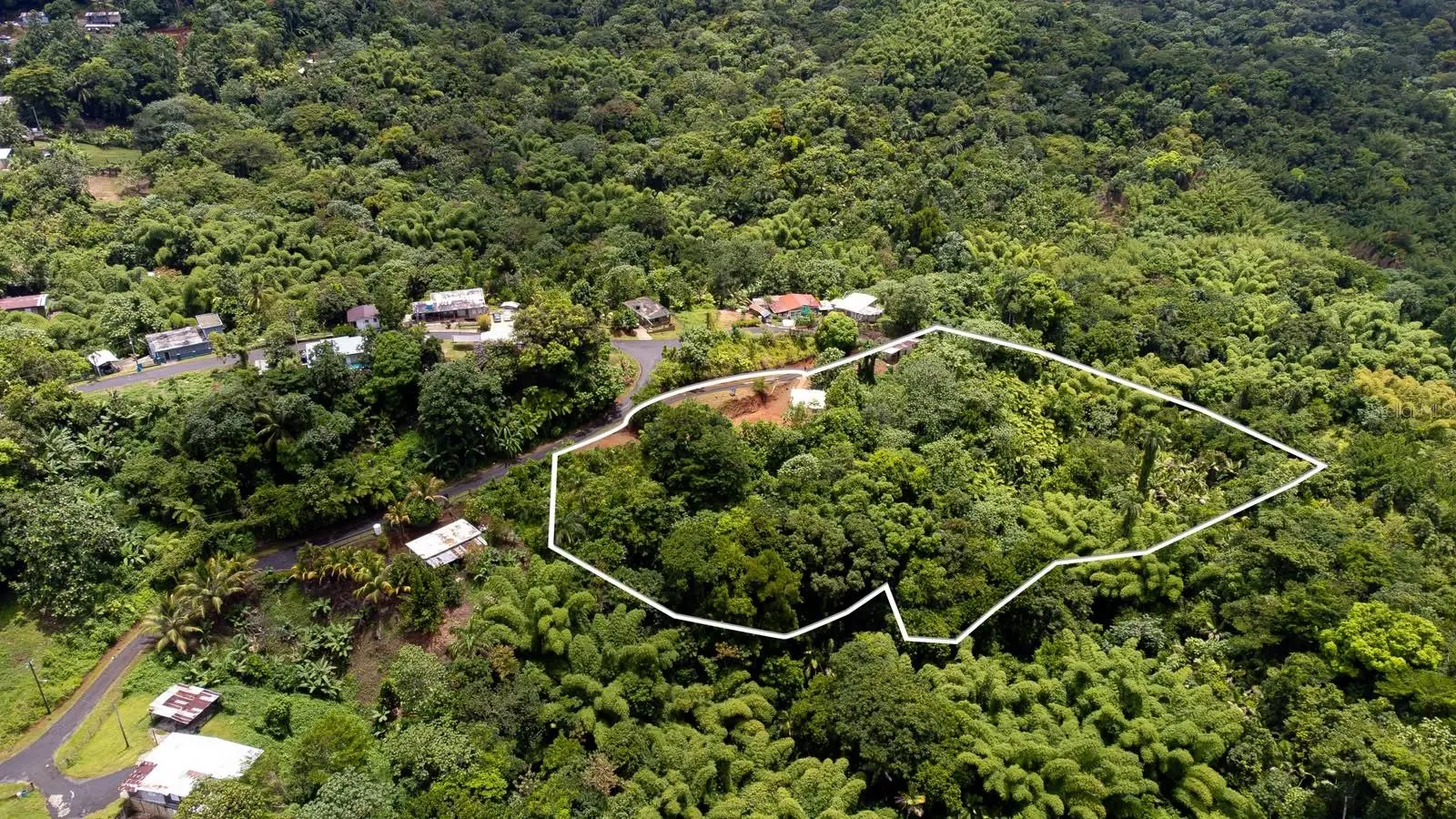 339 St Bo Montoso, PR