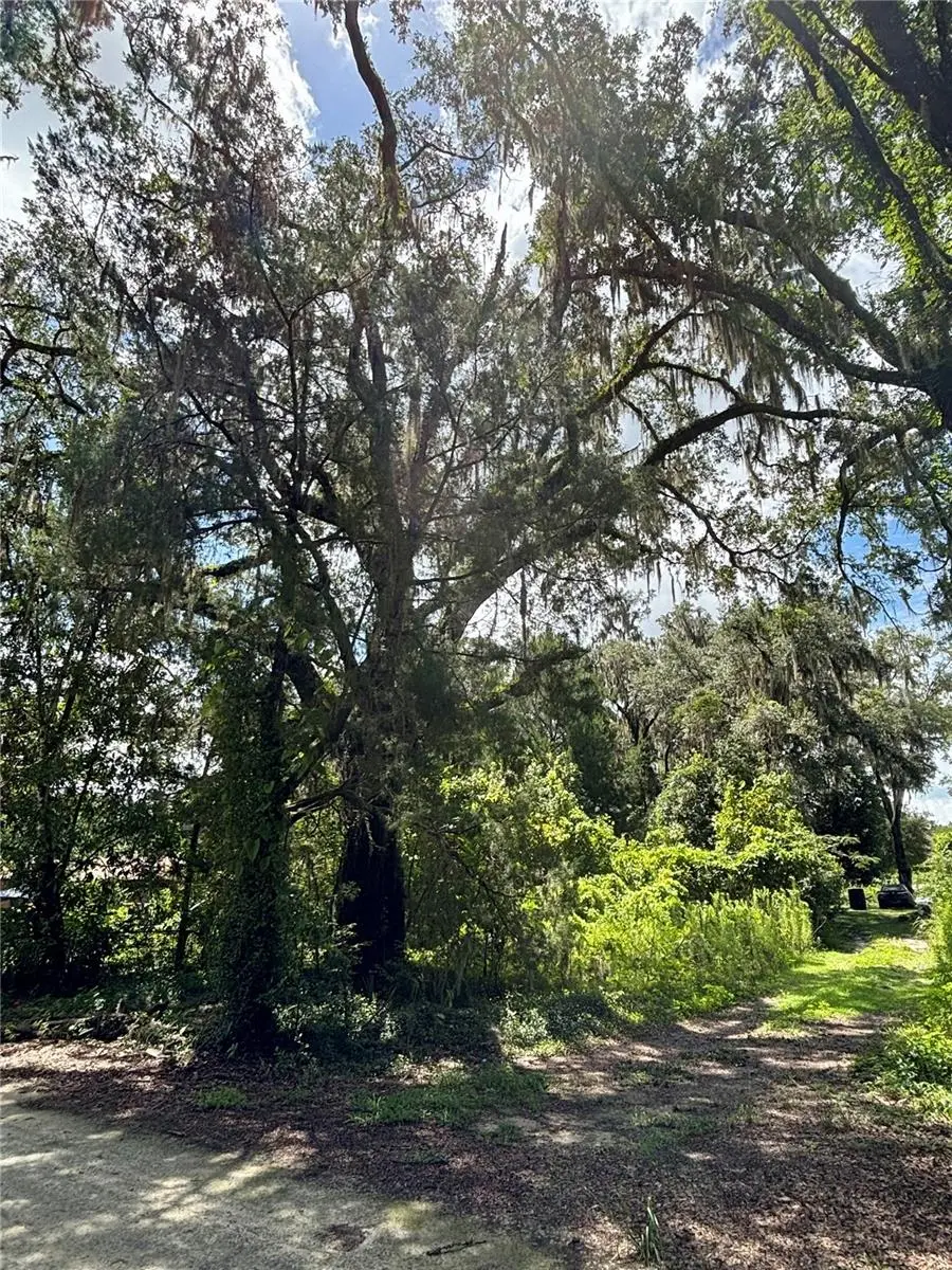 Lot 28 109 Lane, FL